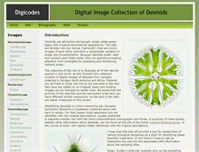 Tablet Screenshot of digicodes.info